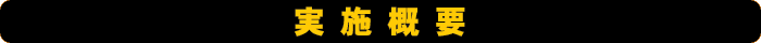 実施概要