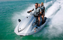 VX Cruiser